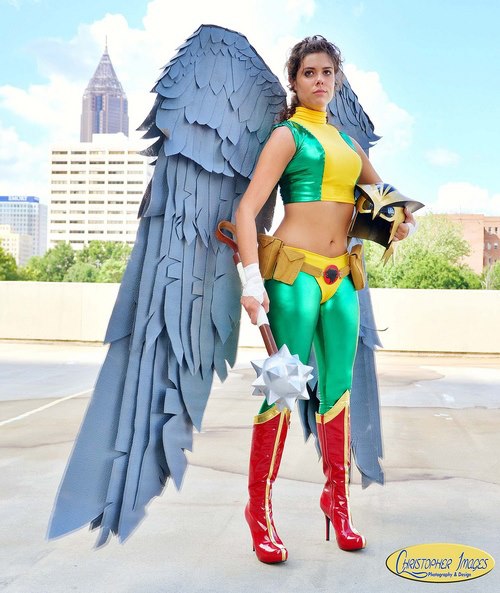 ame comi hawkgirl