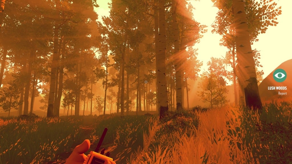 'Firewatch' Video Game Review - Project-Nerd