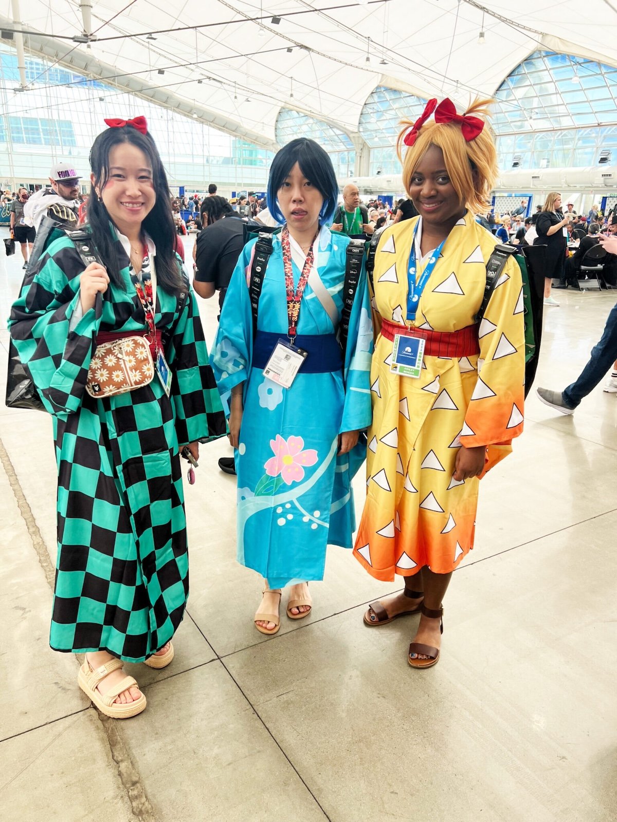 Cosplay at San Diego Comic-Con 2024