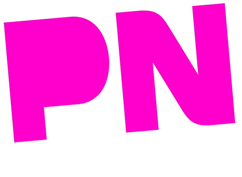 PN Publishing Logo